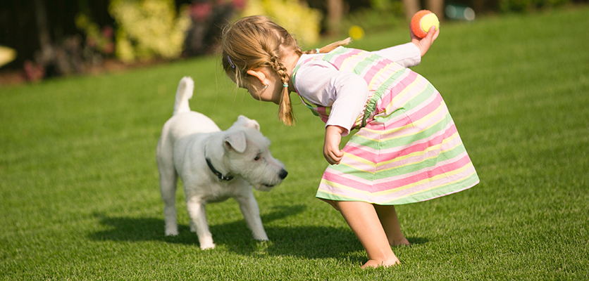 POST_mascota_2016_836x400